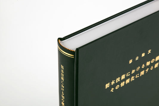 SP-11-C10【グラボ】丸背／カラー表紙／C10