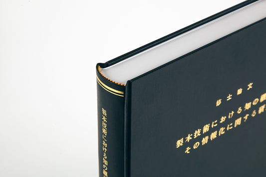 SP-11-C2【グラボ】丸背／カラー表紙／C2